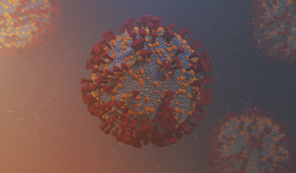 SARS-CoV-2 Spike N-Terminal Domain (NTD), Sheep Fc-Tag (HEK293)