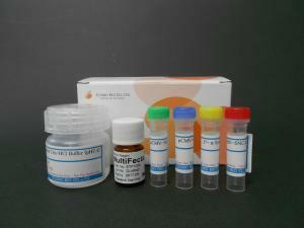 Alpha-Synuclein Aggregation Assay Kit