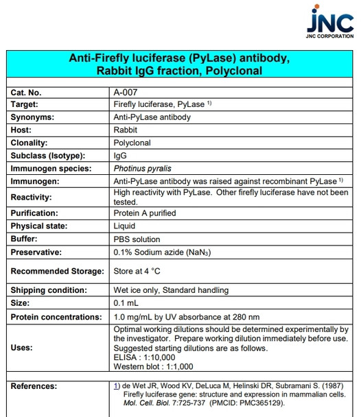 Anti Firefly luciferase (PyLase) pAb