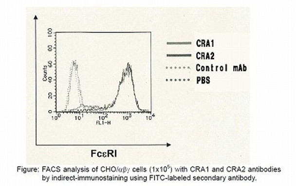 Anti High Affinity Immunoglobulin Epsilon Receptor Subunit Alpha (FCER1A) mAb (Clone CRA2)