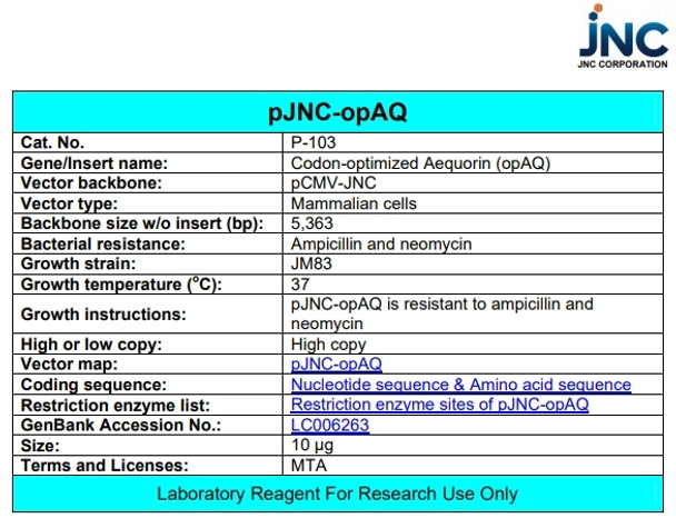 pJNC-opAQ (Codon-optimized Aequorin)