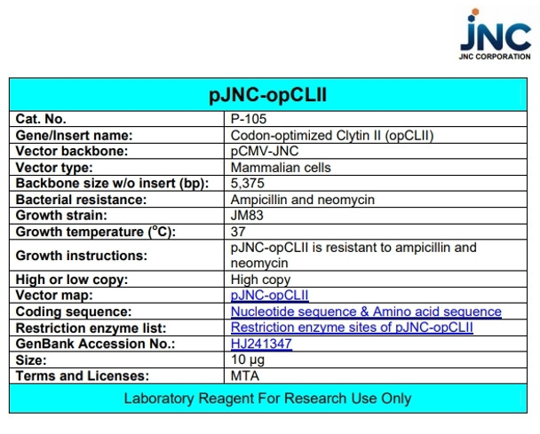 pJNC-opCLII (Codon-optimized Clytin II)