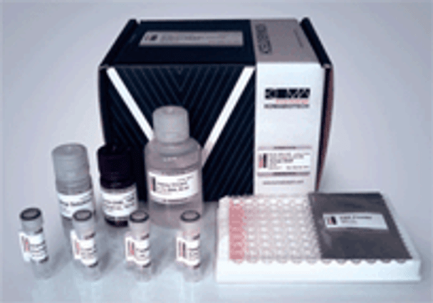 Immunoglobulin ELISA Combo Kit