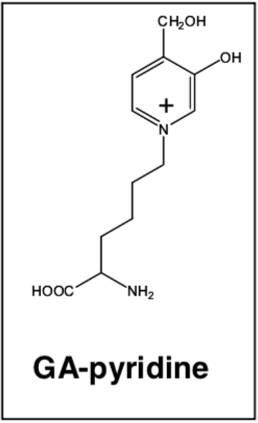 Anti GA-Pyridine mAb (Clone 2A2)