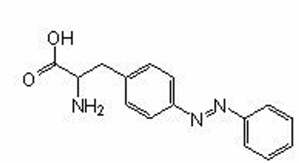 Site-Directed Unnatural Mutagenesis, AzoAla (CGGG), CloverDirect