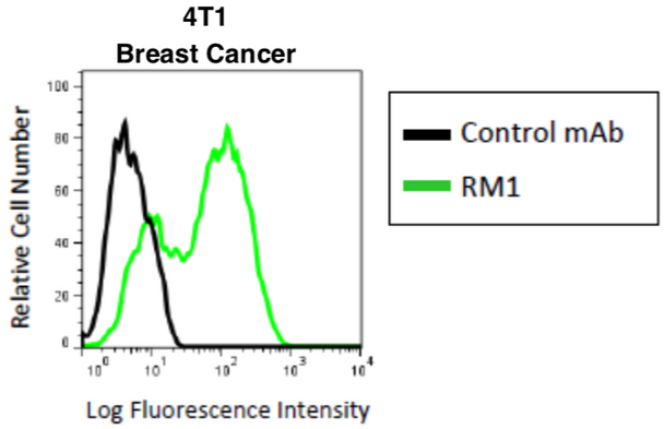 Anti CD44 Antigen v10-e16 mAb (Clone RM1)