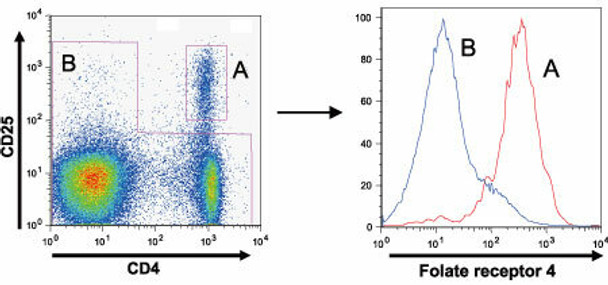 Anti IZUMO1 Receptor, JUNO (IZUMO1R/FOLR4/Treg marker) mAb (Clone TH6)