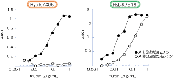 Anti Human Blood group A (nonsecretor) mAb (Clone K7516)