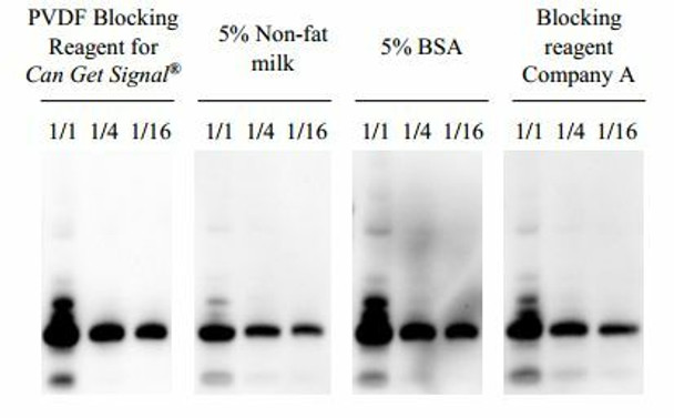 PVDF Blocking Reagent for Can Get Signal