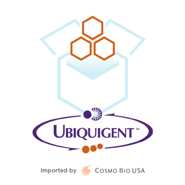 Di-ubiquitin (K6-linked) [untagged]