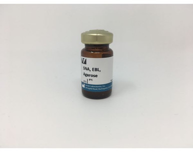 Sambucus Nigra Lectin (SNA, EBL), Agarose bound