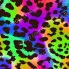 CDS Exclusive Printed Vinyl | Psychedelic Cheetah 11