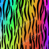 CDS Exclusive Pattern Vinyl | Neon Tiger Stripes 4