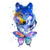 ColorSplash Ultra | Wolf 5