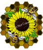 ColorSplash Ultra Transfers | Beekeeper Honey Bees