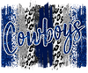 ColorSplash Ultra | Cowboys Blue and Silver