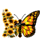 ColorSplash Ultra | Butterfly Faith
