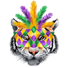 ColorSplash Ultra | Mardi Gras Tiger Mask JP 2