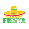 ColorSplash Ultra | Fiesta CF