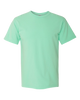 Comfort Colors Garment Dyed Heavyweight T-Shirt | Island Reef