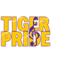 ColorSplash Ultra | Tiger Pride Band JP