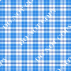 PPJLS Patriotic Plaid 5