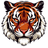 ColorSplash Ultra | Tiger CF 3