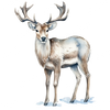 ColorSplash Ultra | Watercolor Reindeer 31