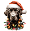 ColorSplash Ultra | Christmas Retriever MLD