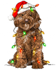 ColorSplash Ultra | Christmas Labradoodle