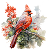 ColorSplash Ultra | Floral Red Cardinal 8