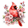ColorSplash Ultra | Red Cardinal CGG 1