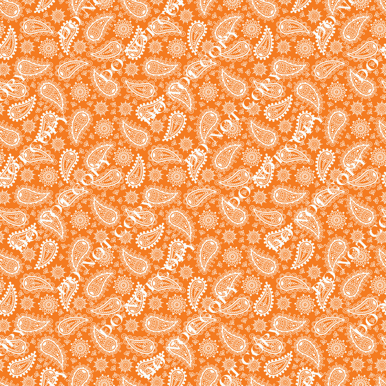 PTO Orange Paisley 12 - Creative Design & Supply L.L.C.