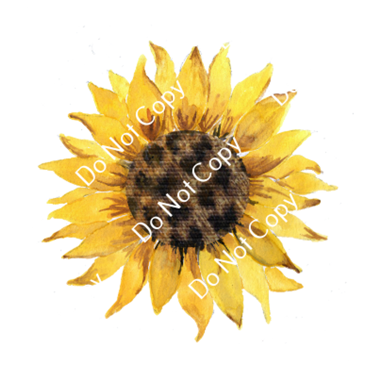 ColorSplash Ultra | Sunflower 1