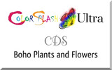 Boho Plants and Flowers