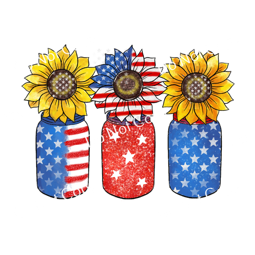 ColorSplash Ultra | Stars Stripes and Sunflowers CF