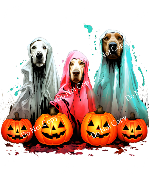 ColorSplash Ultra | Spooky Halloween Dogs CF