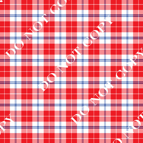 PPJLS Patriotic Plaid 3