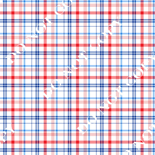 PPJLS Patriotic Plaid 16