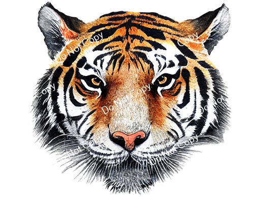 ColorSplash Ultra | Tiger CF 11