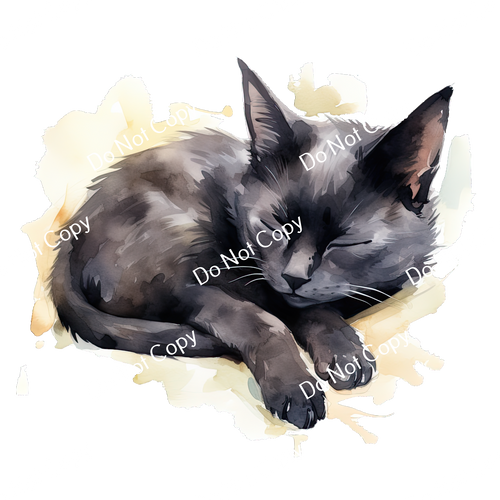 ColorSplash Ultra | Watercolor Cat 6