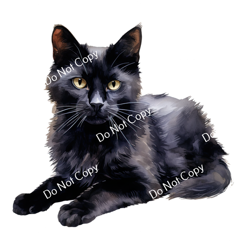 ColorSplash Ultra | Watercolor Cat 2