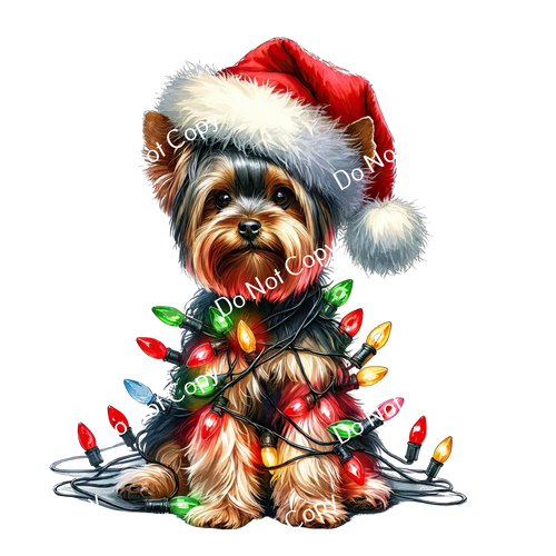 ColorSplash Ultra | Christmas Yorkie