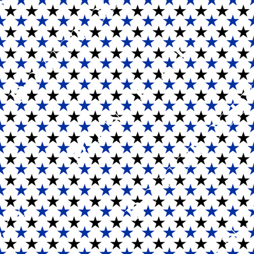 Printed Pattern Vinyl Heat/Adhesive High Schools Shreveport/Bossier