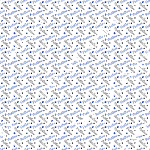 Printed Pattern Vinyl Heat/Adhesive High Schools Shreveport/Bossier