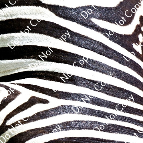 CDS Custom Printed Vinyl | Wild Animal Pattern 1