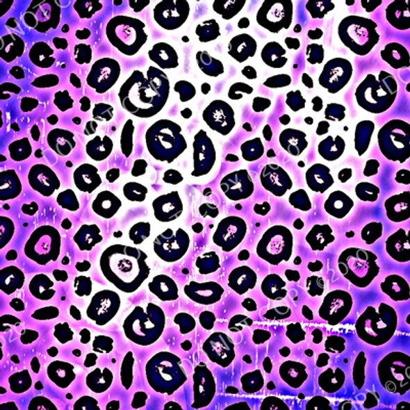 CDS Exclusive Printed Vinyl | Funky Cheetah 27