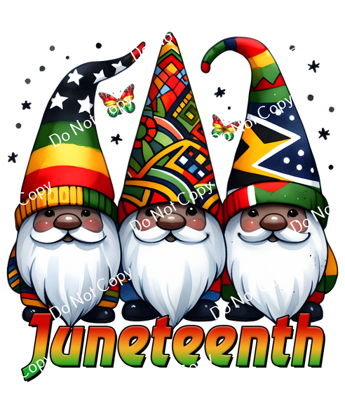 ColorSplash Ultra | Juneteenth Gnomes CF 1