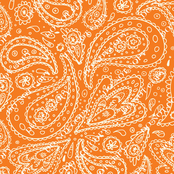 『TEN PAISLEY S/S ORANGE S』 TEN PAISLEY S/S ORANGE S』 Solid Stone Fabrics