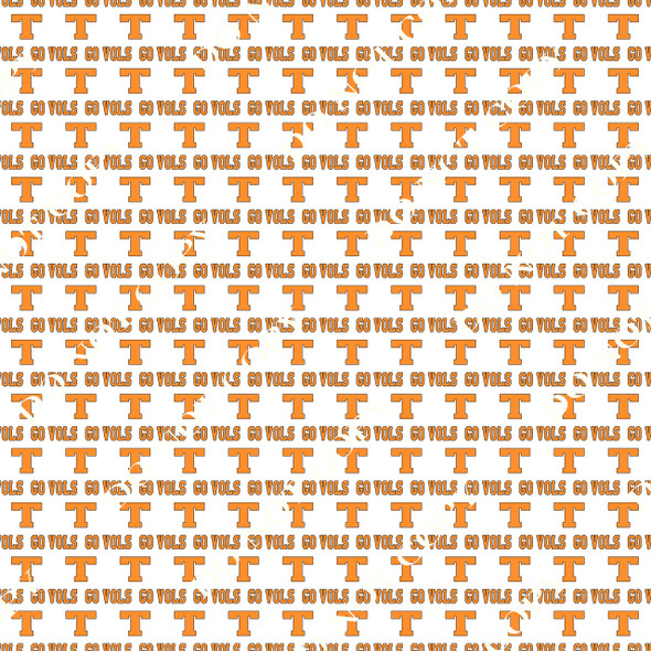 College Tennessee Vols 3